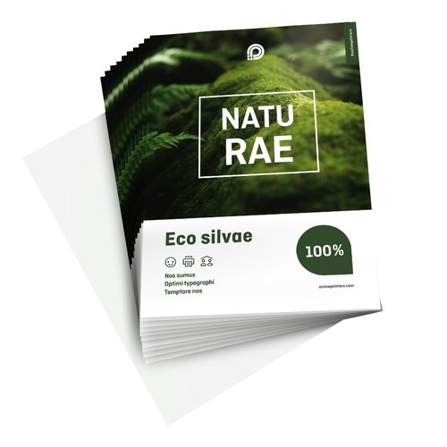 Flyers & Leaflets eco/natural paper, A4, printed on one side 2